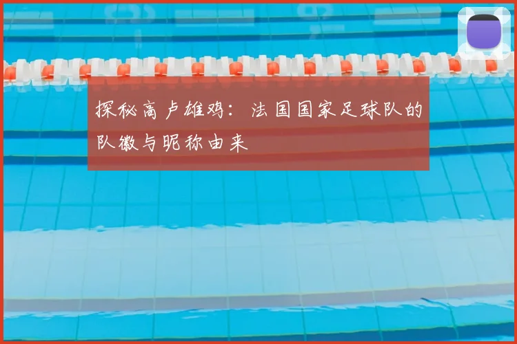 探秘高卢雄鸡：法国国家足球队的队徽与昵称由来