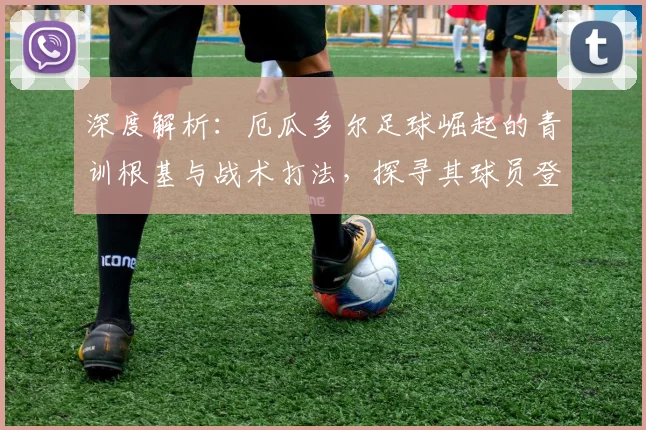 深度解析:厄瓜多尔足球崛起的青训根基与战术打法,探寻其球员登陆欧洲的成功之路